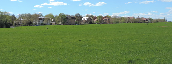 Across the field
