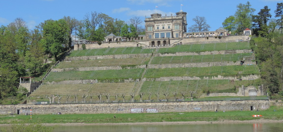 Terraces