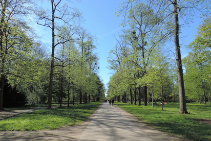 Avenue