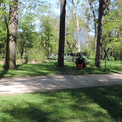Steam train