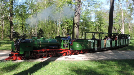 Steam train