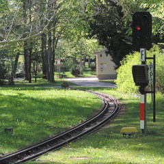 Signal