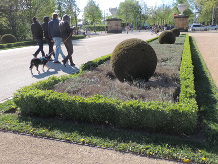 Hedges