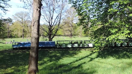 Train