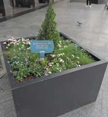 Flower bed