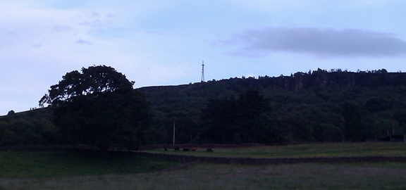 Mast