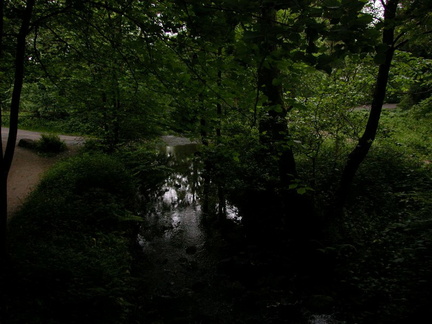 Stream