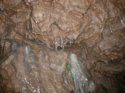 Wall