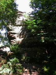 Rock
