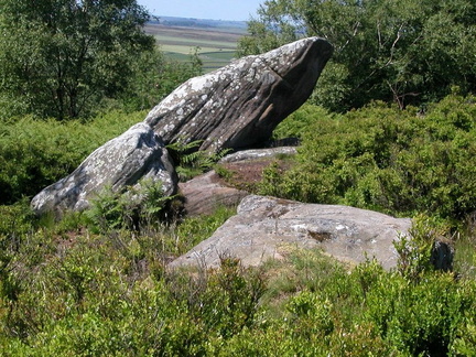 Rocks