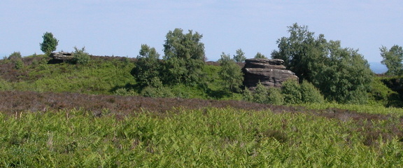 Moors