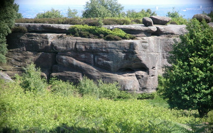 Wall