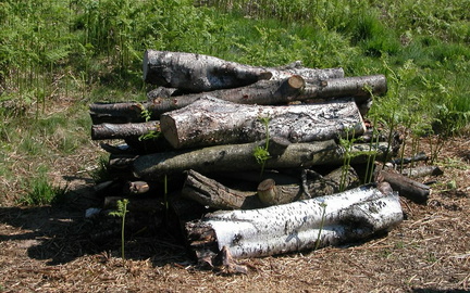 Logs