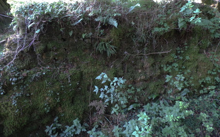 Wall