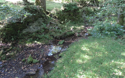 Stream