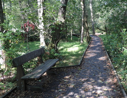 Boardwalk
