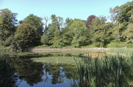 Millpond
