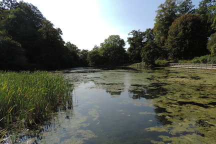 Millpond