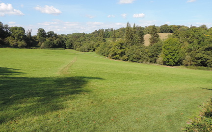 Field
