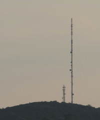 Masts