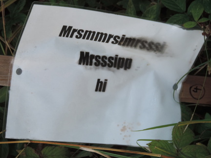 Incomprehensible sign