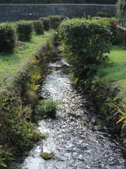 Stream