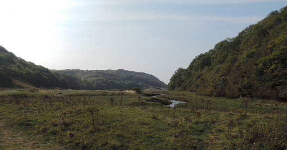 Valley with stream