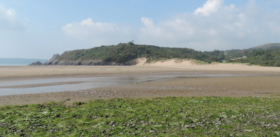Bay