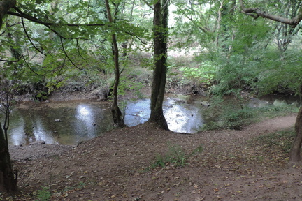 Stream