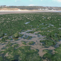 Port Eynon