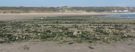 Rocks