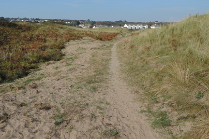 Through the dunes