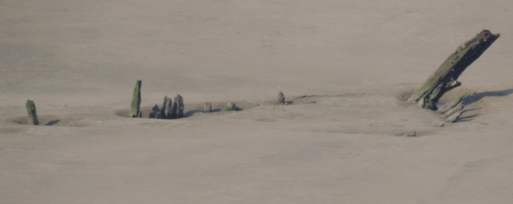 Shipwreck