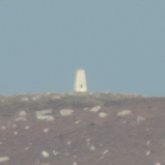 Pillar