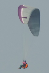 Paraglider