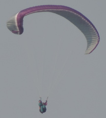 Paraglider