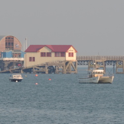 Mumbles