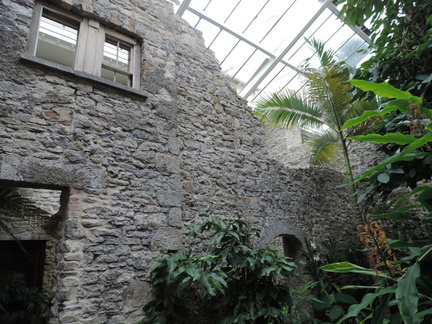Wall