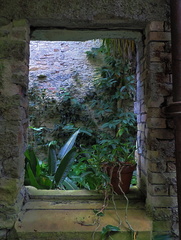 Window