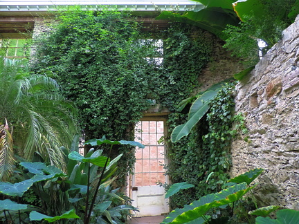 Wall