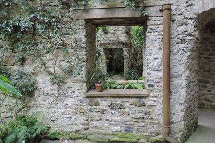 Windows