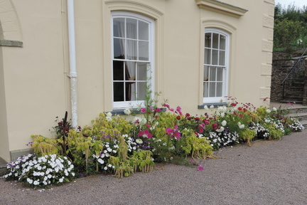 Flower beds