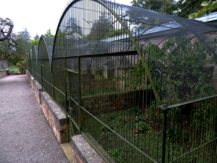 Aviary