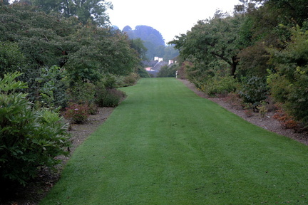 Lawn