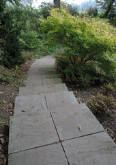 Steps