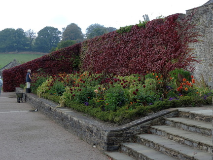 Flower bed
