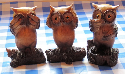 Owls