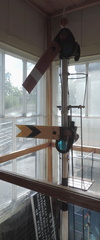 Signal