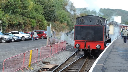 Reversing
