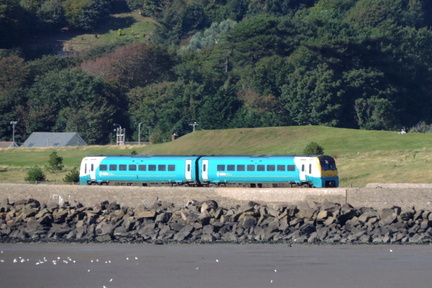 Train